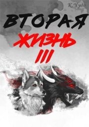 Читать книгу Вторая жизнь. Том 3 (СИ), автор Чудаева Ксения Вторая жизнь. Том 3 (СИ) - Чудаева Ксения