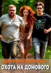 Читать книгу Охота на домового (СИ), автор Сорокин Дмитрий Охота на домового (СИ) - Сорокин Дмитрий